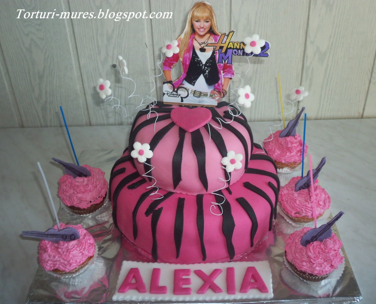 Tort Hannah Montana 2