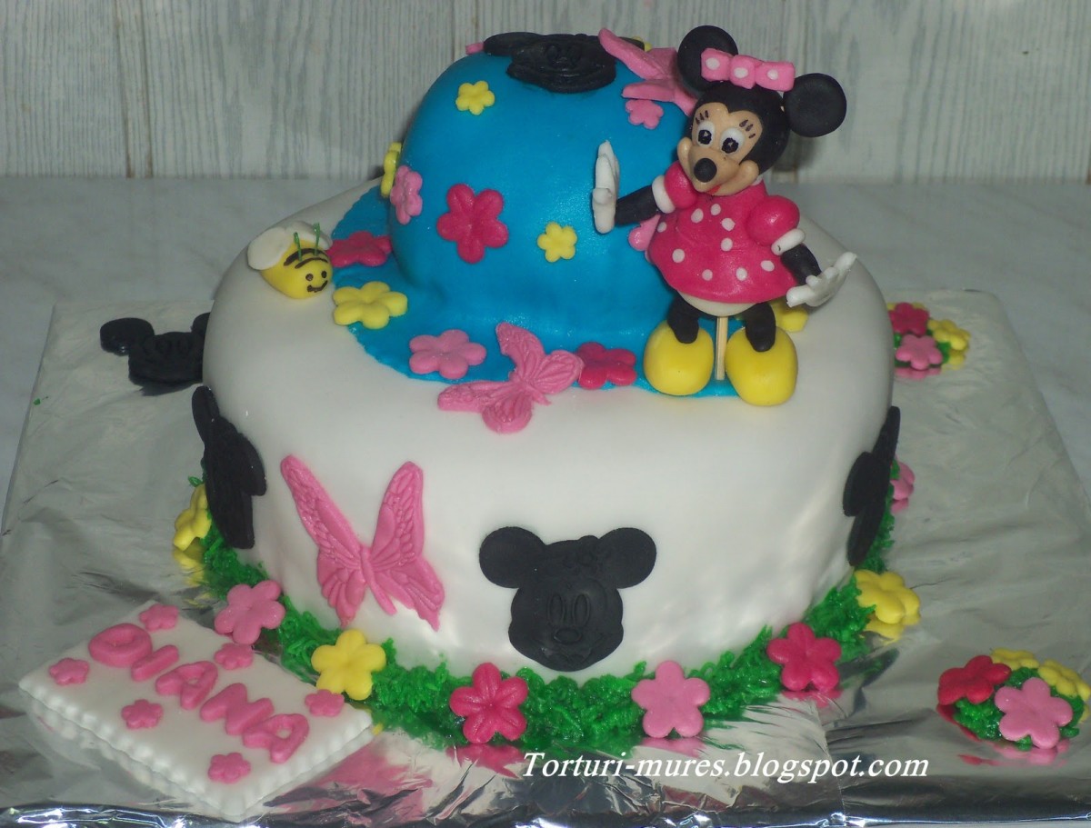 Tort Minnie 3