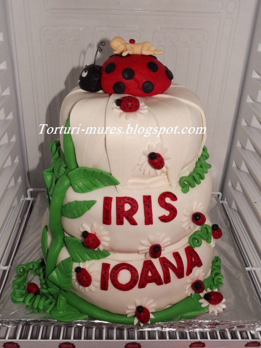 Tort de botez Iris