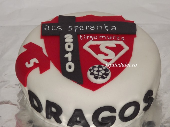 Tort Acs Speranta Targu Mures