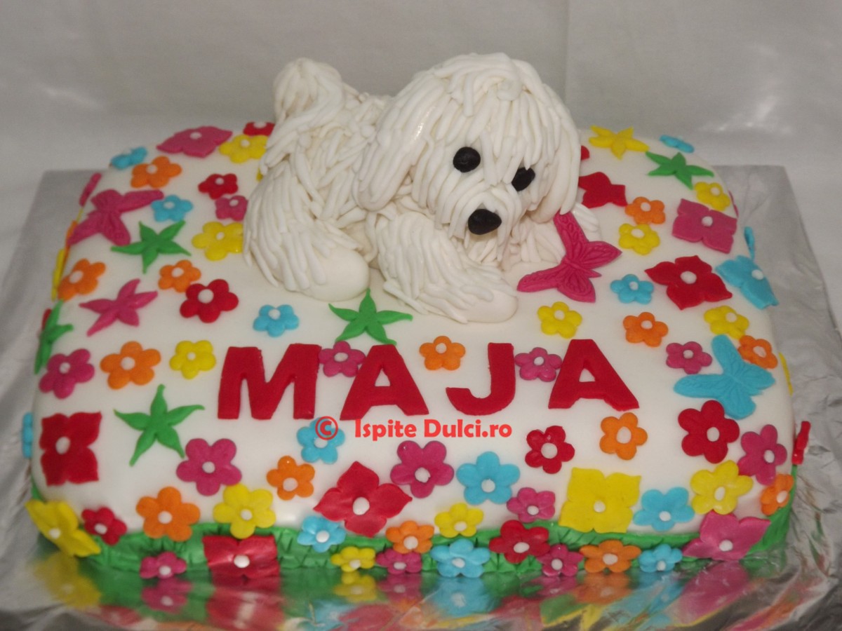 Tort cu catel bichon