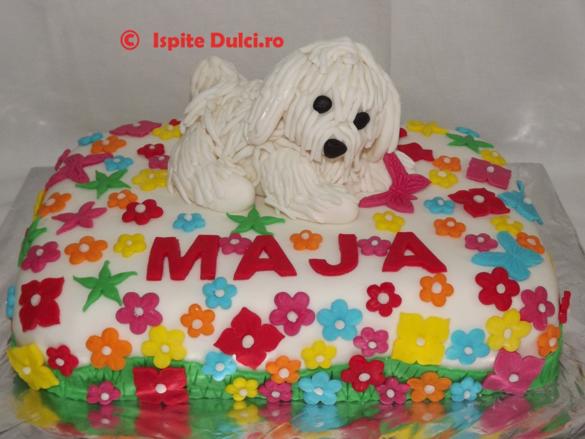 Tort cu catel bichon