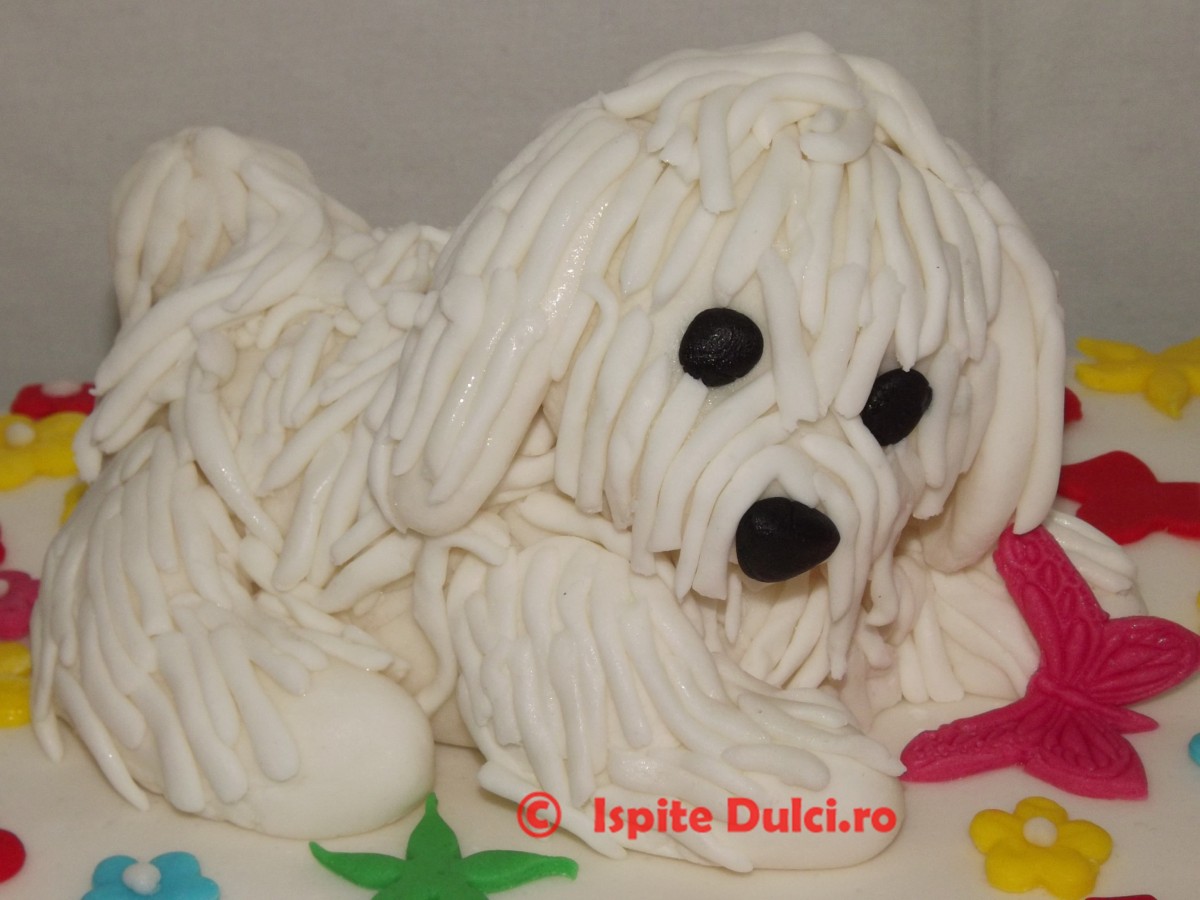 Tort cu catel bichon