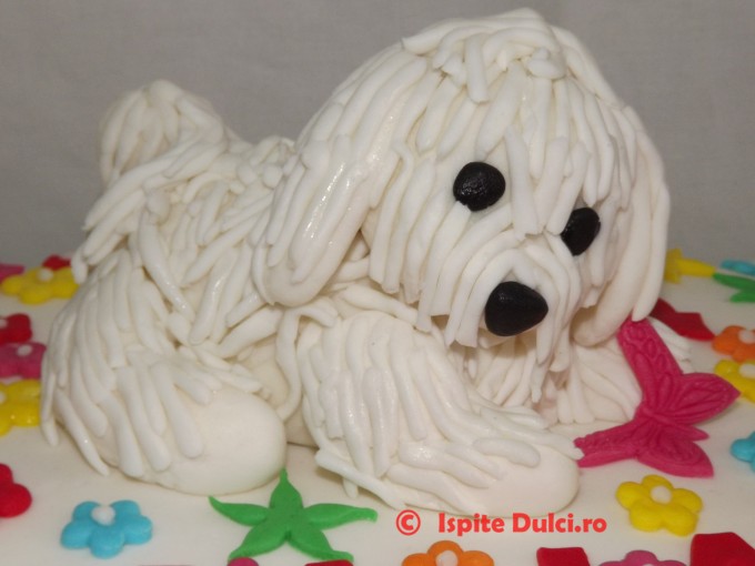 Tort cu catel bichon