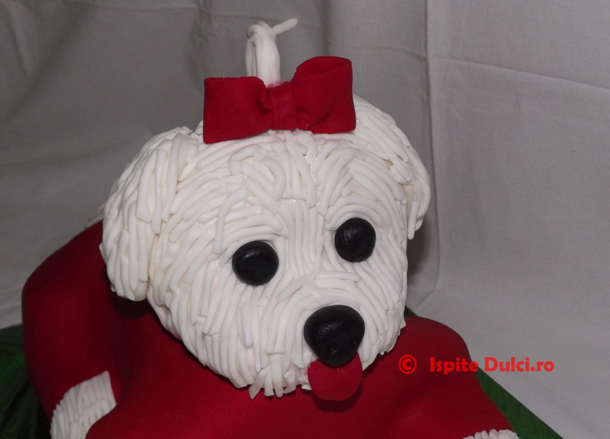 Tort Bichon 2