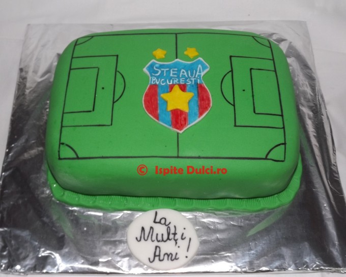 Tort teren de fotbal cu sigla Steaua