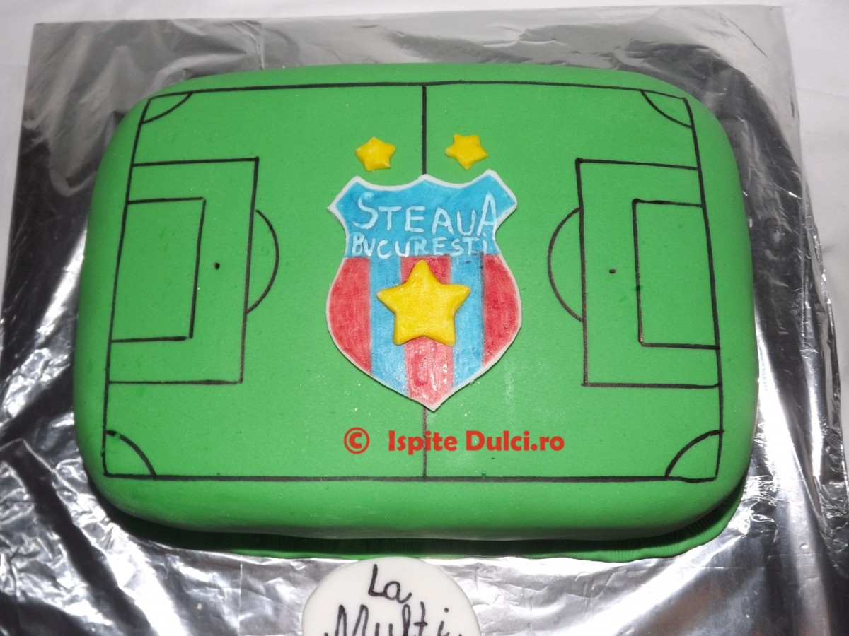 Tort teren de fotbal cu sigla Steaua