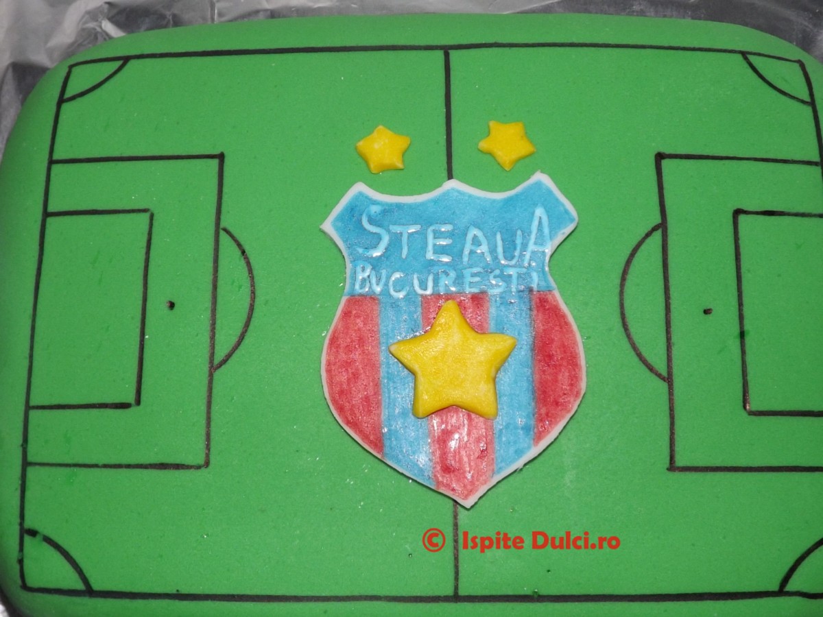 Tort teren de fotbal cu sigla Steaua