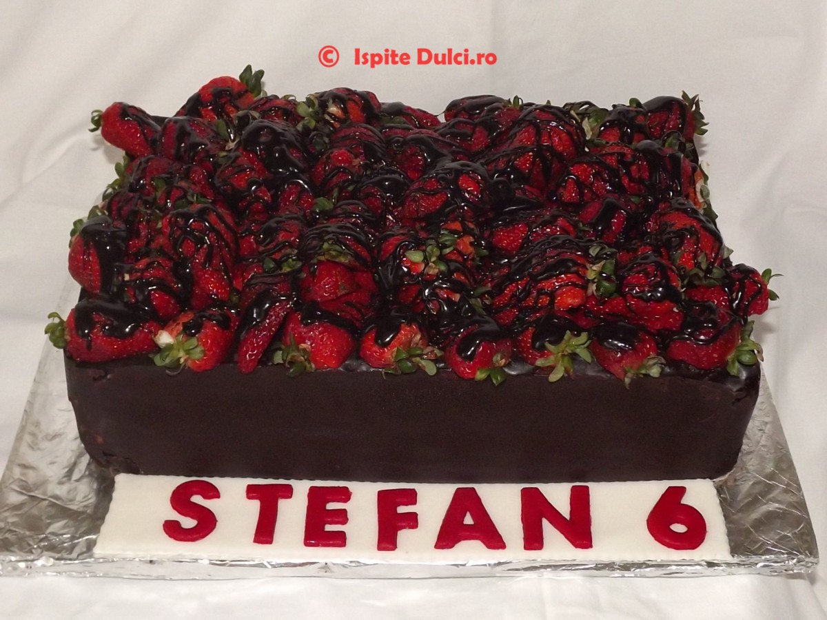 Tort ciocolatos Stefan