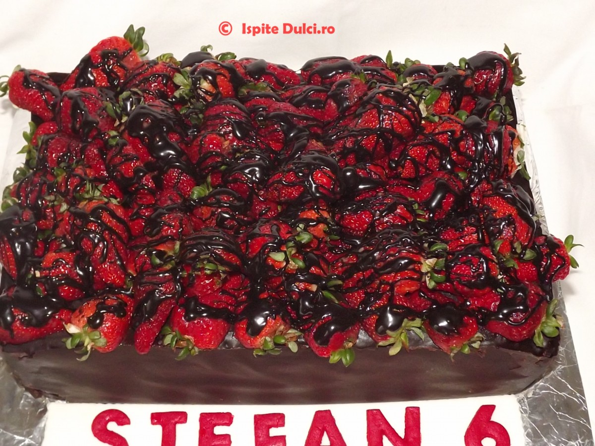 Tort ciocolatos Stefan