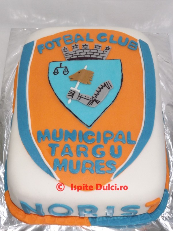 Tort municipal Targu Mures
