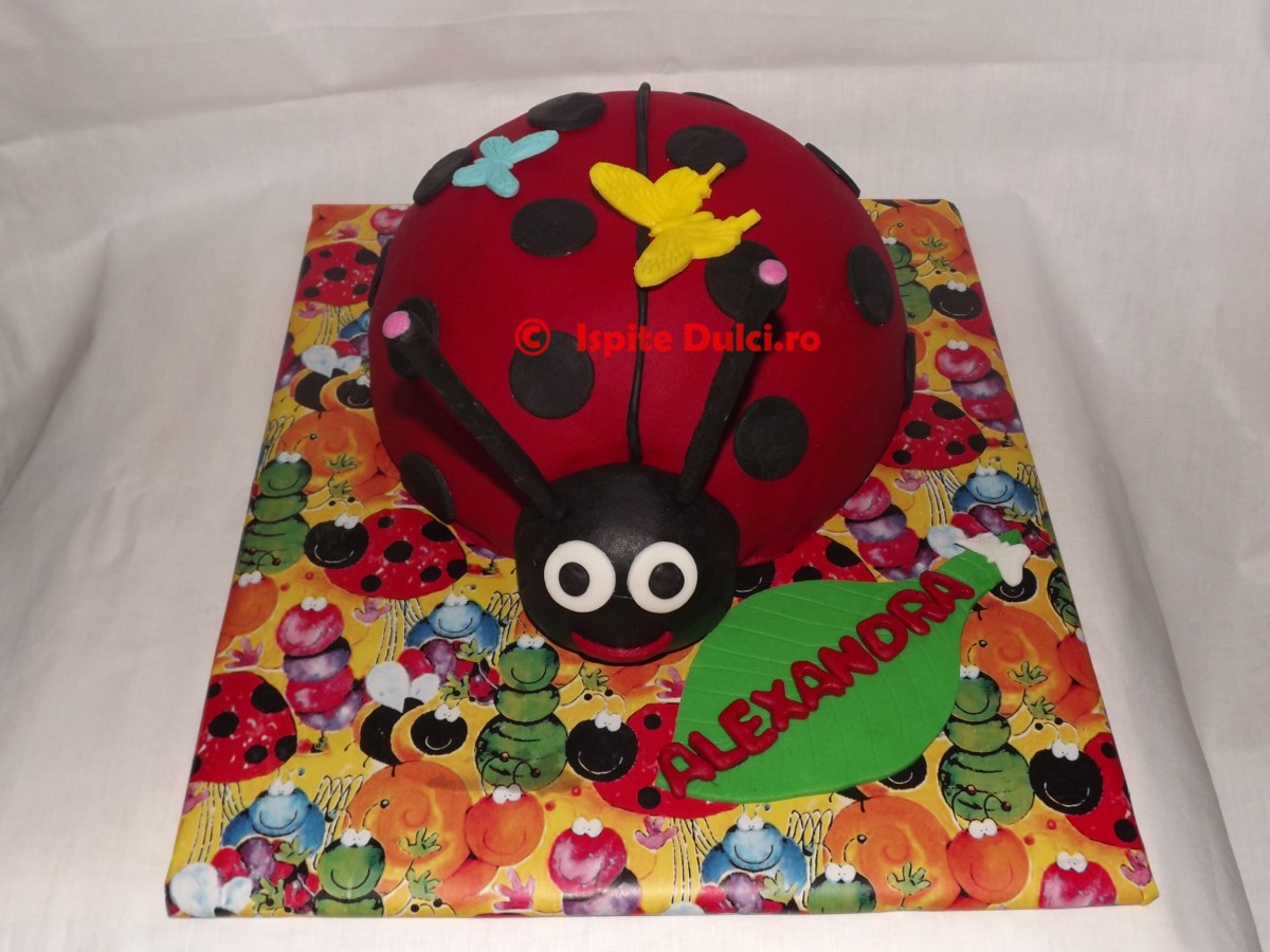 Tort buburuza Alexandra