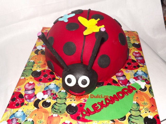 Tort buburuza Alexandra