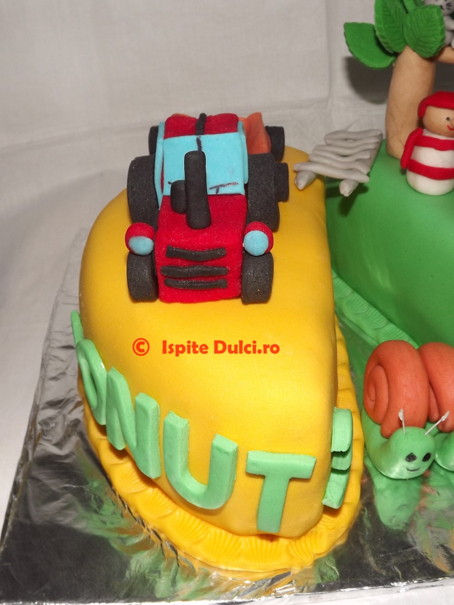 Tort pentru frati cu Fireteam si tractor