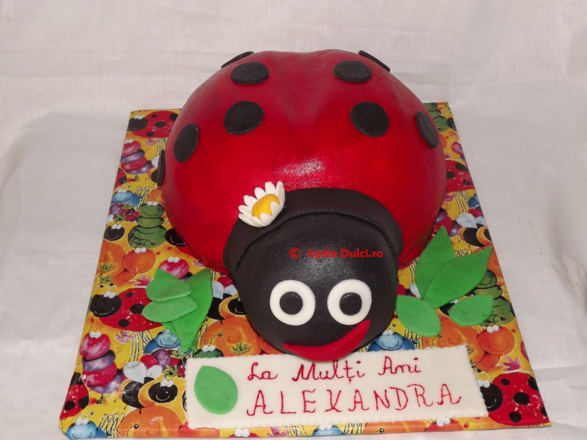 Tort mamaruta 3