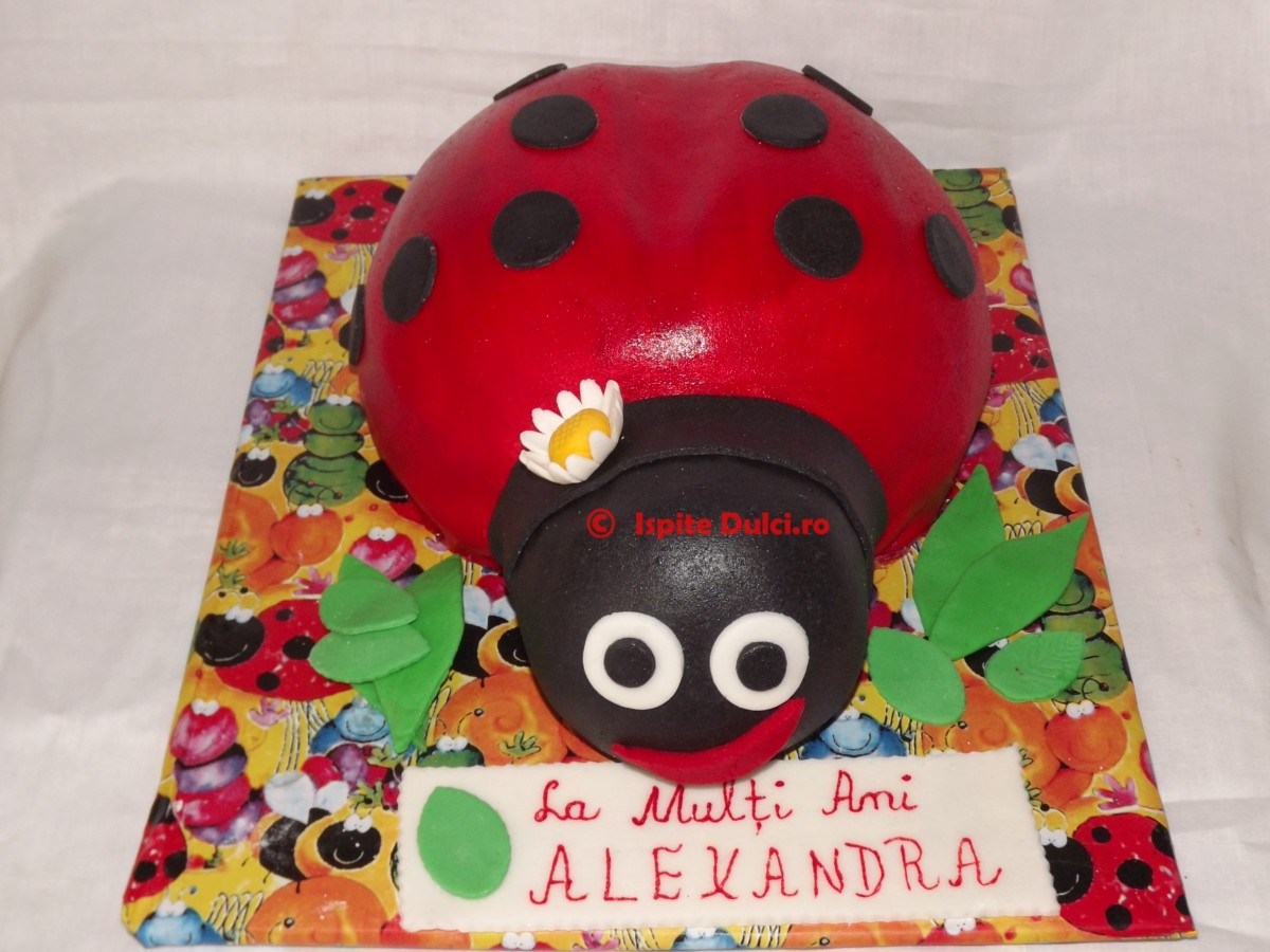 Tort mamaruta 3