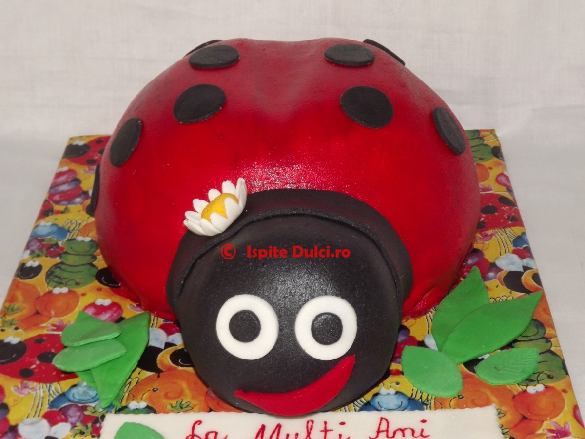 Tort mamaruta 3