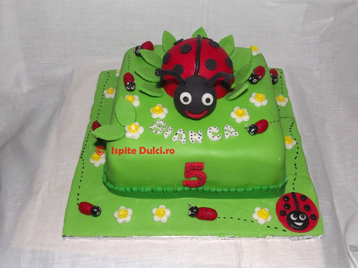Tort cu buburuze