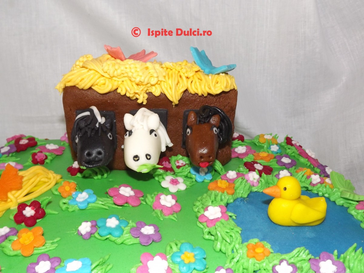 Tort cu cai pentru Hanna