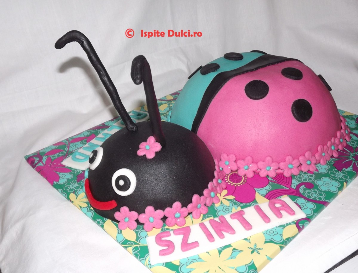 Tort buburuza vesela pentru frati