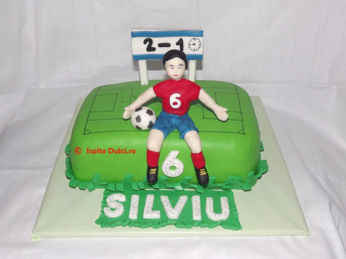 Tort teren de fotbal Silviu