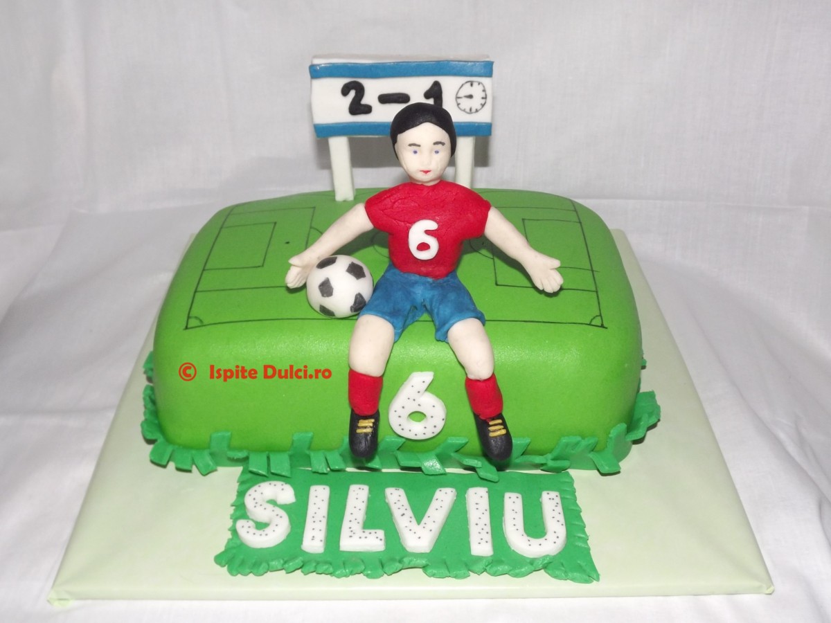 Tort teren de fotbal Silviu