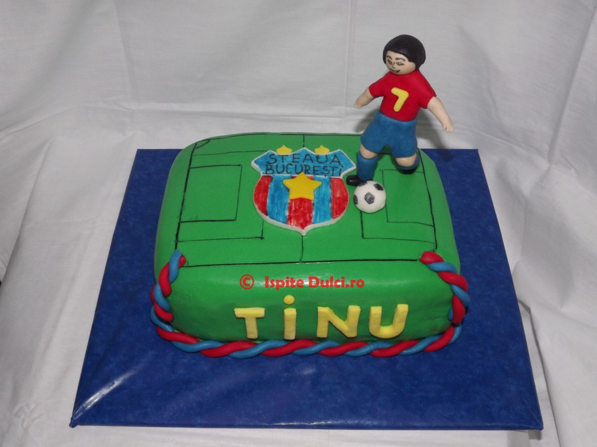 Tort teren de fotbal Tinu
