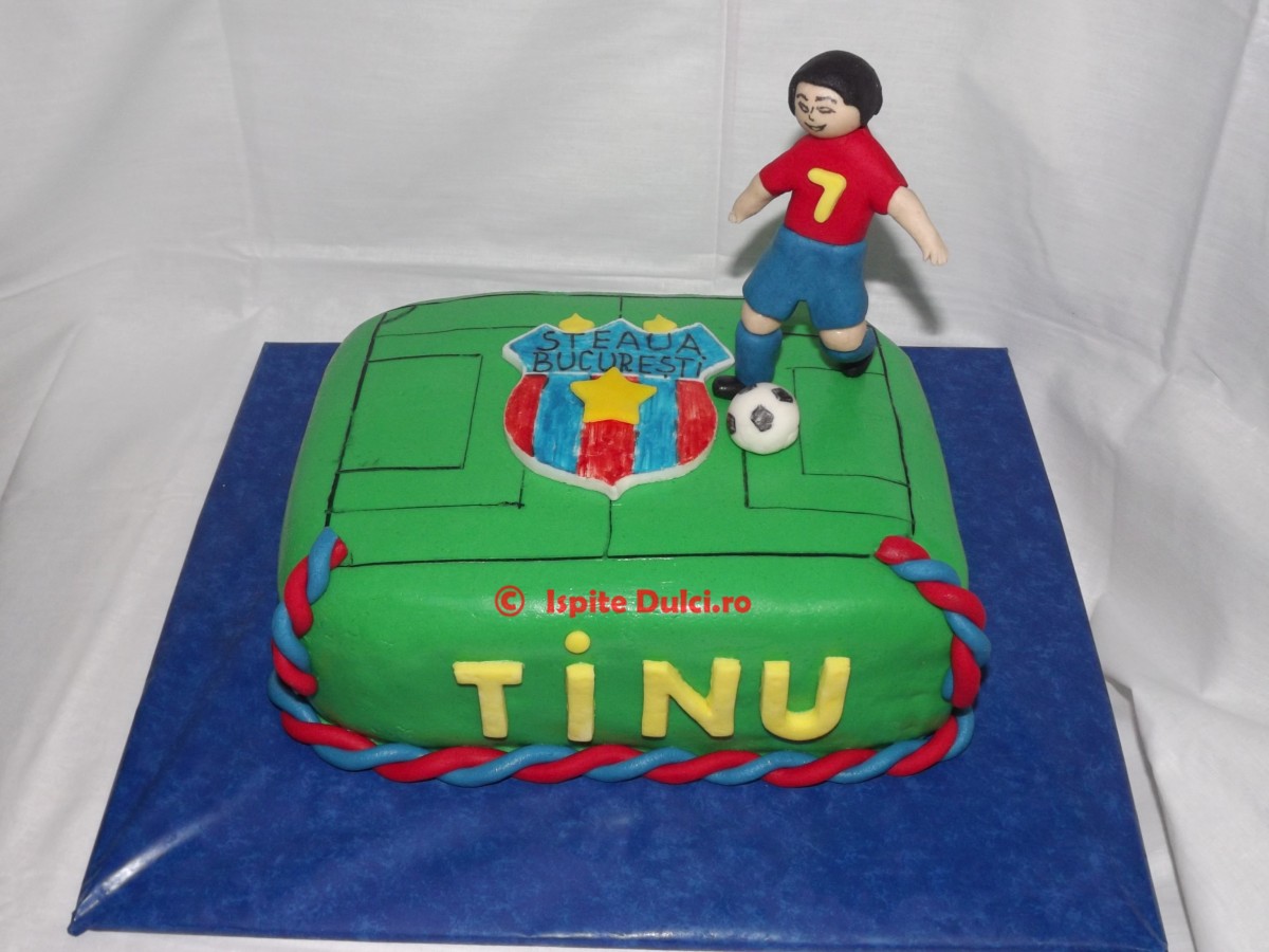 Tort teren de fotbal Tinu