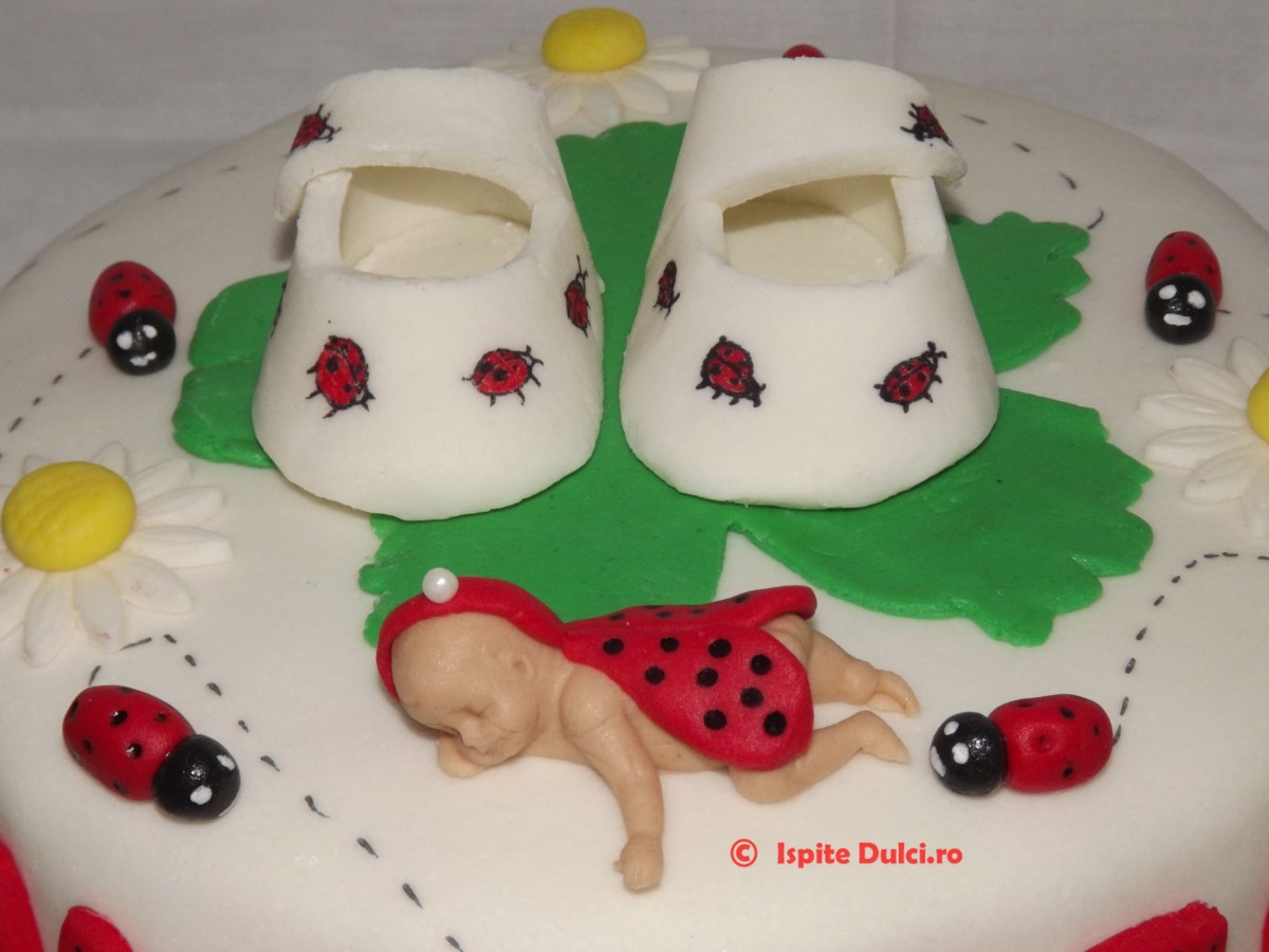 Tort de botez cu buburuze