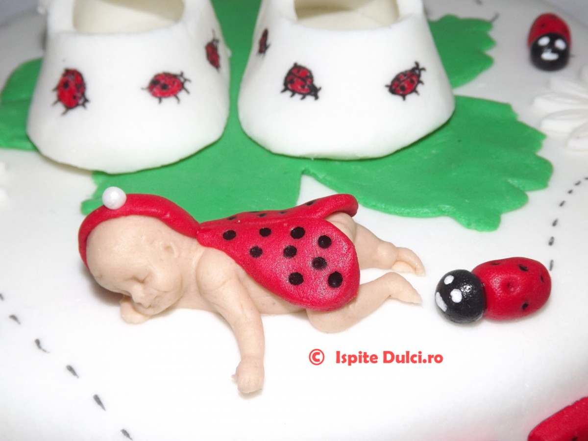 Tort de botez cu buburuze