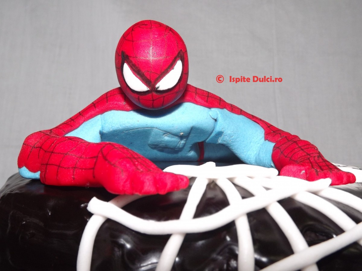 Tort Spiderman pentru Sebi