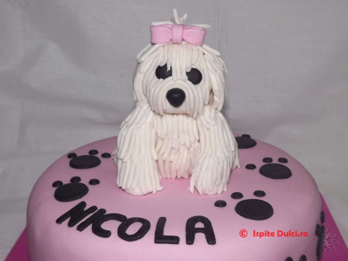 Tort cu bichon pentru Nicola