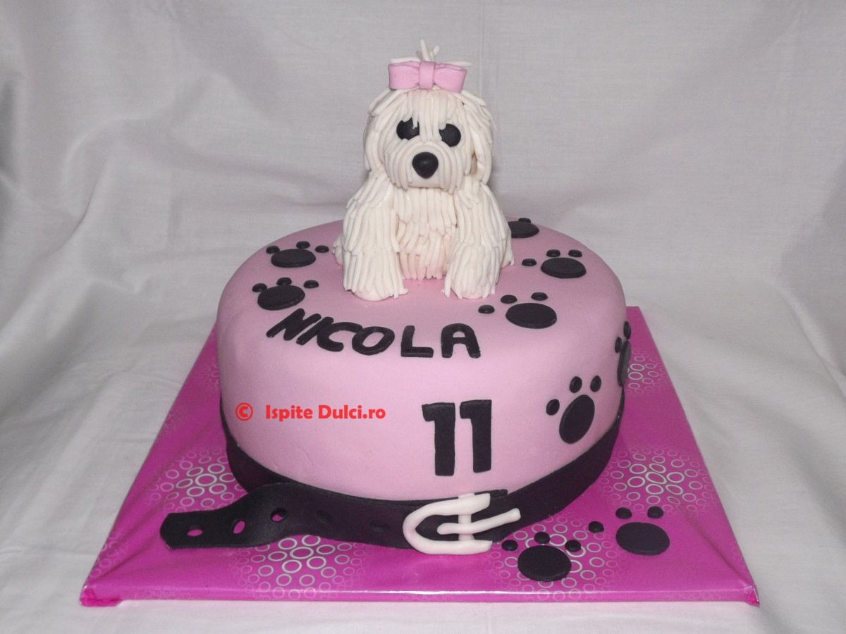 Tort cu bichon pentru Nicola