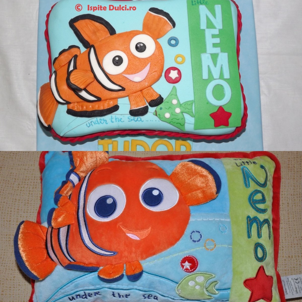 Tort Nemo pentru Tudor