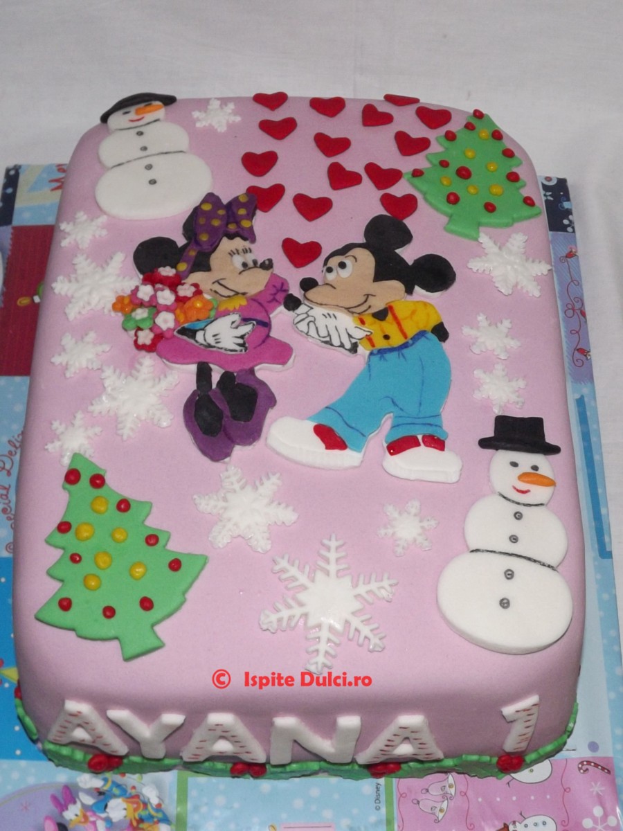Tort Minnie si Mickey pentru Ayana