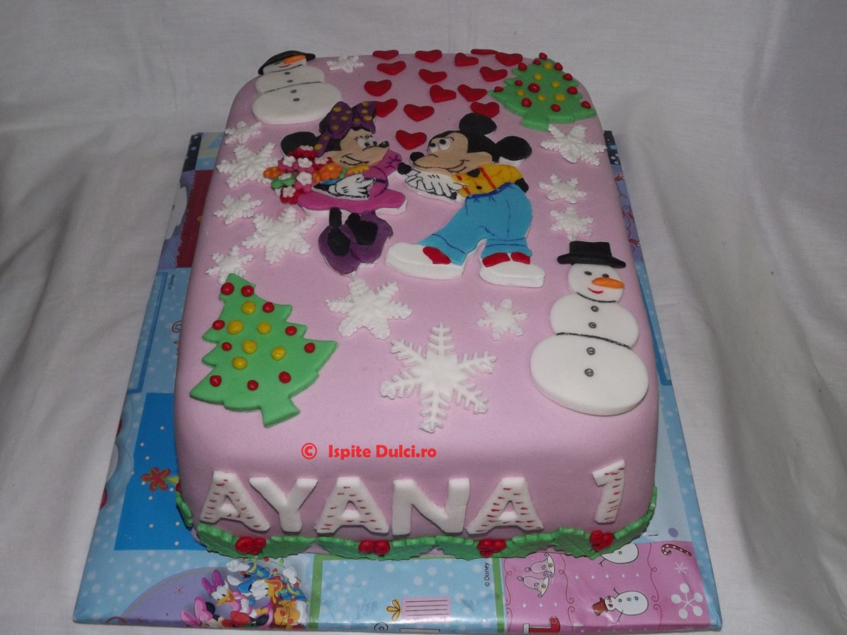 Tort Minnie si Mickey pentru Ayana