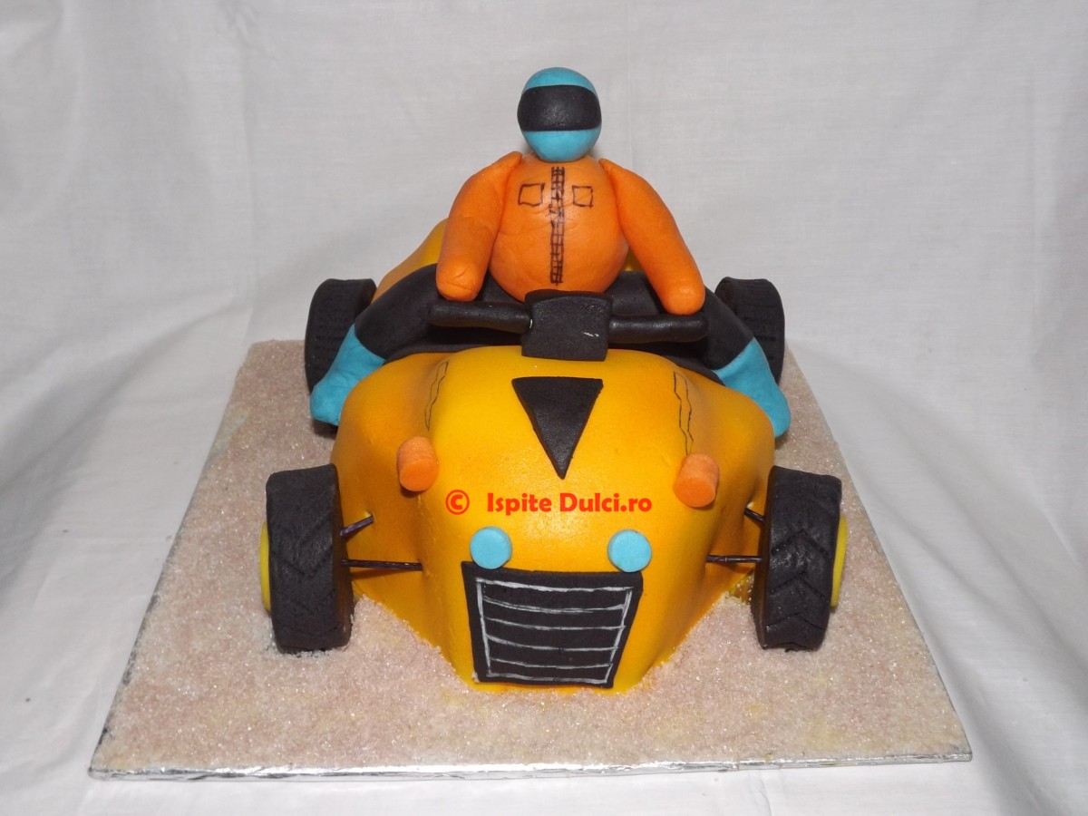 Tort ATV pentru Darius