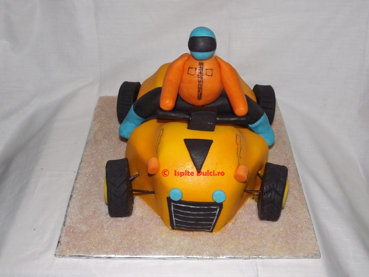 Tort ATV pentru Darius