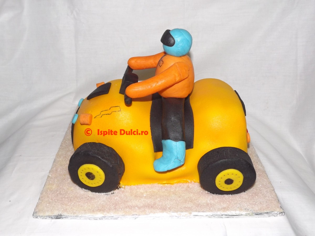 Tort ATV pentru Darius