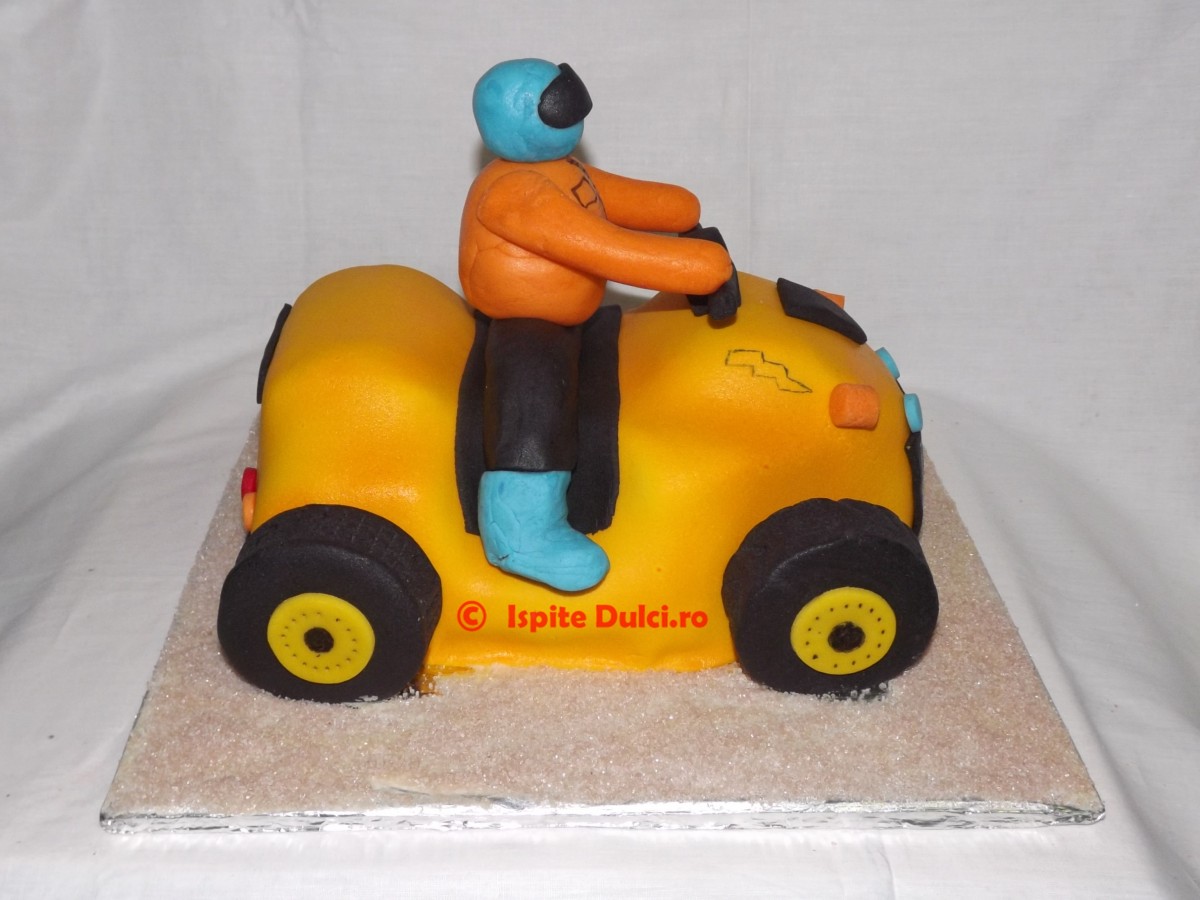 Tort ATV pentru Darius