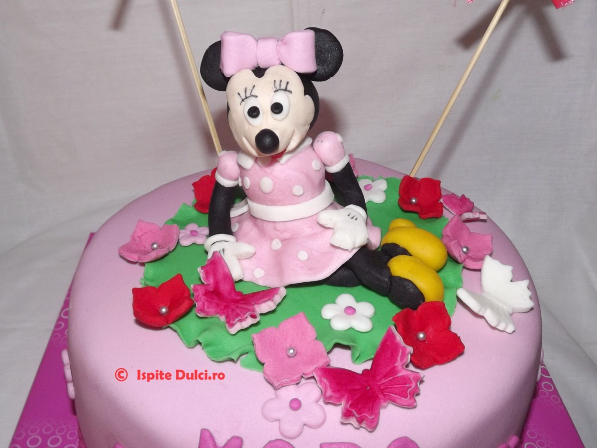 Tort Minnie pentru Mara