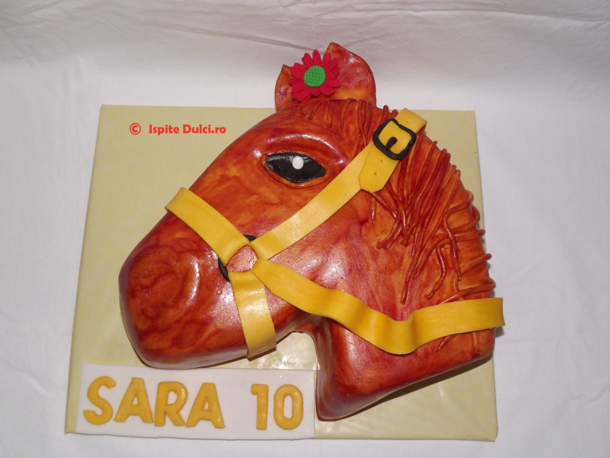 Tort cal pentru Sara