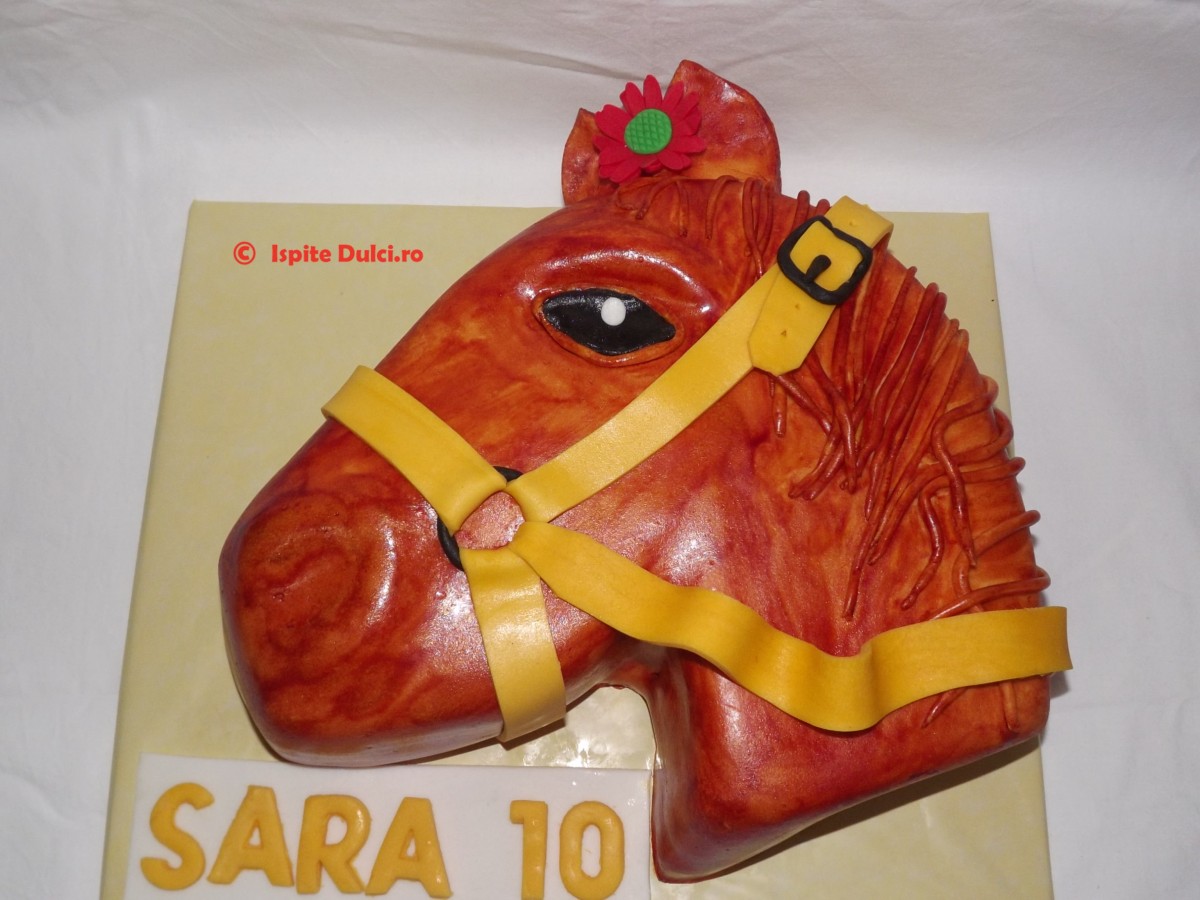 Tort cal pentru Sara