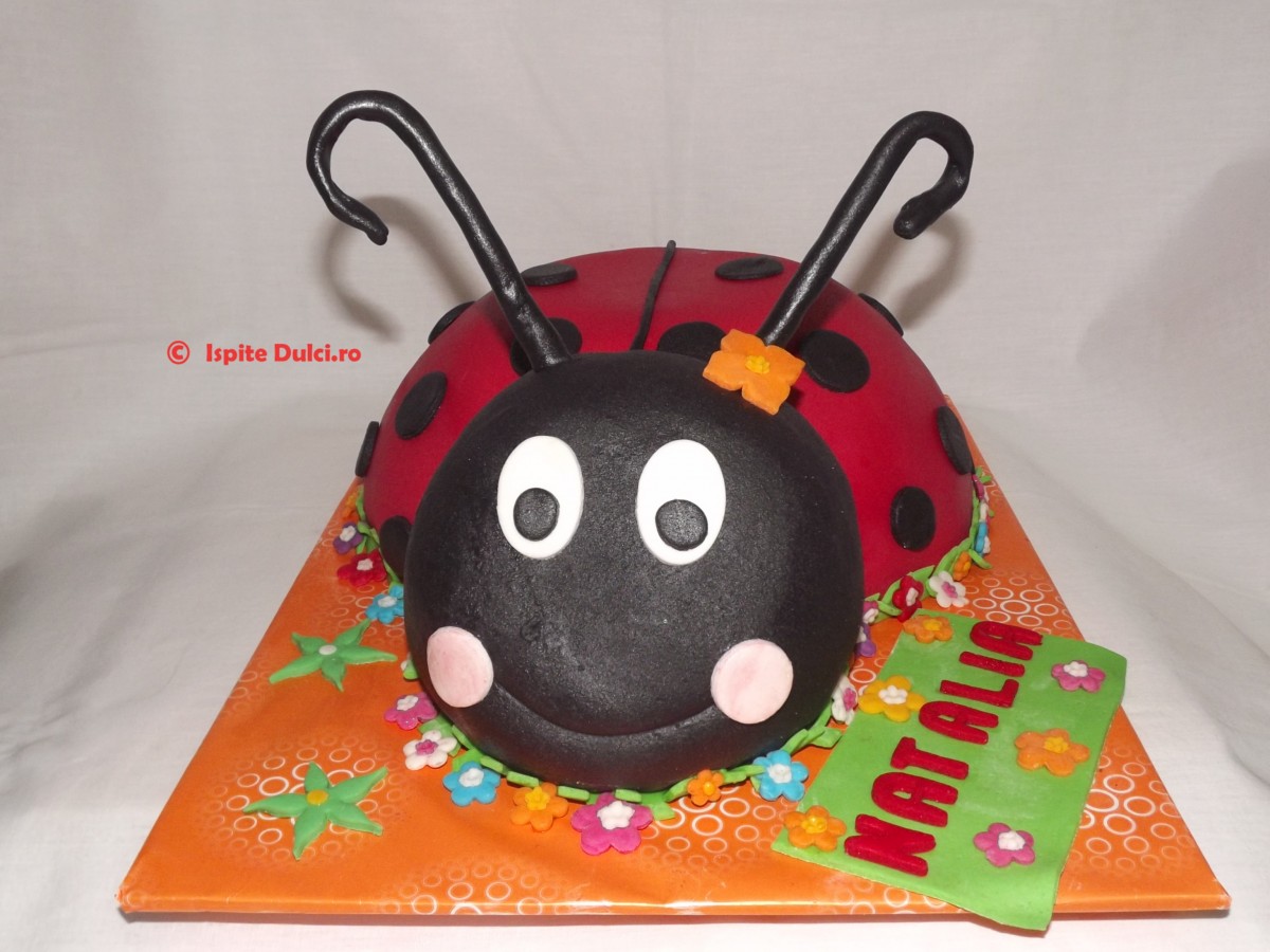 Tort buburuza Natalia
