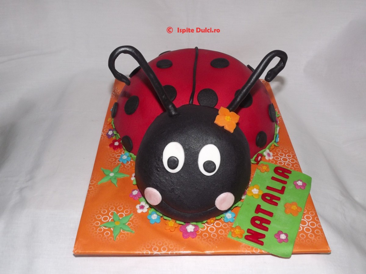 Tort buburuza Natalia