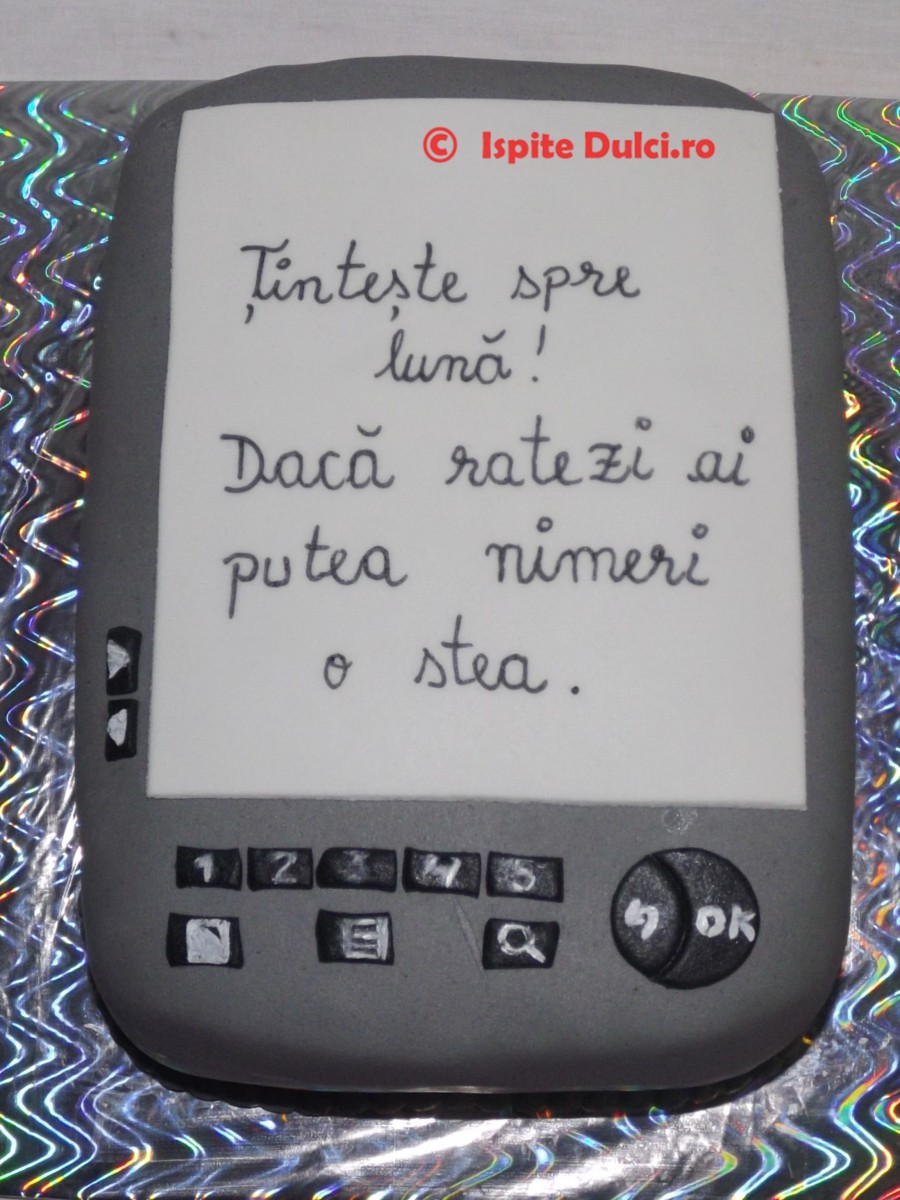 Tort Ebook reader (tableta)