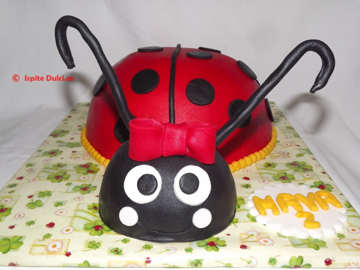 Tort mamaruta pentru Maya