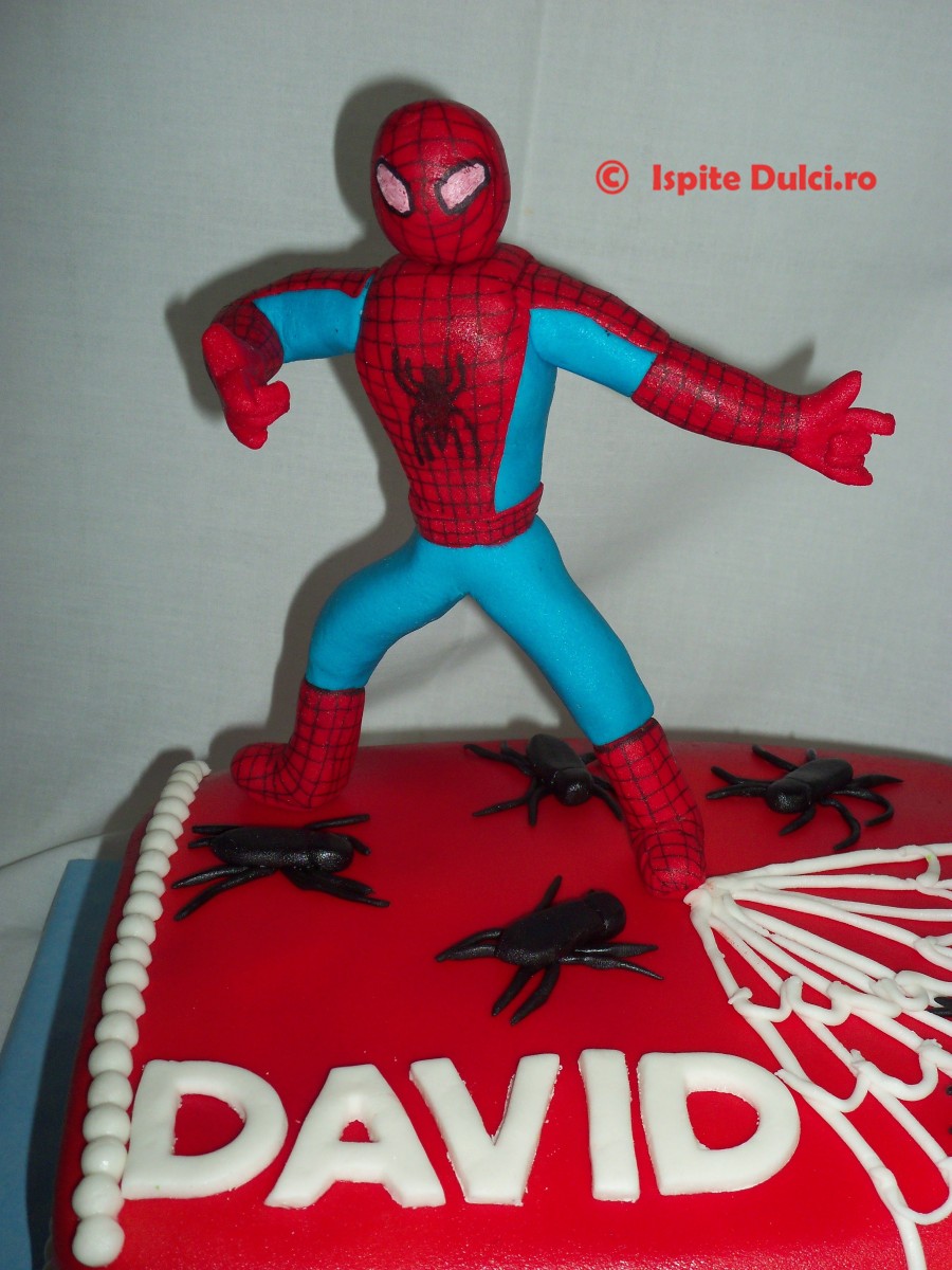 Tort Spiderman pentru David