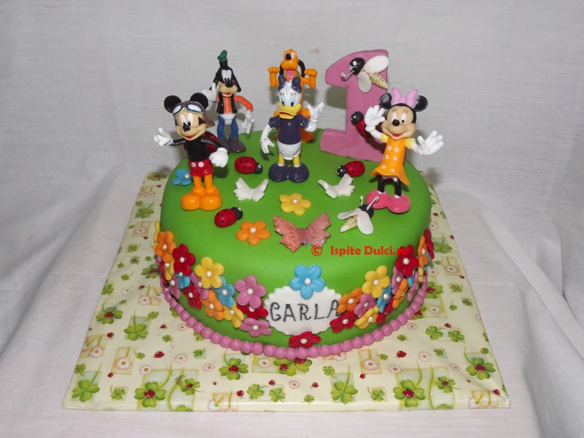 Tort 1 an vesel