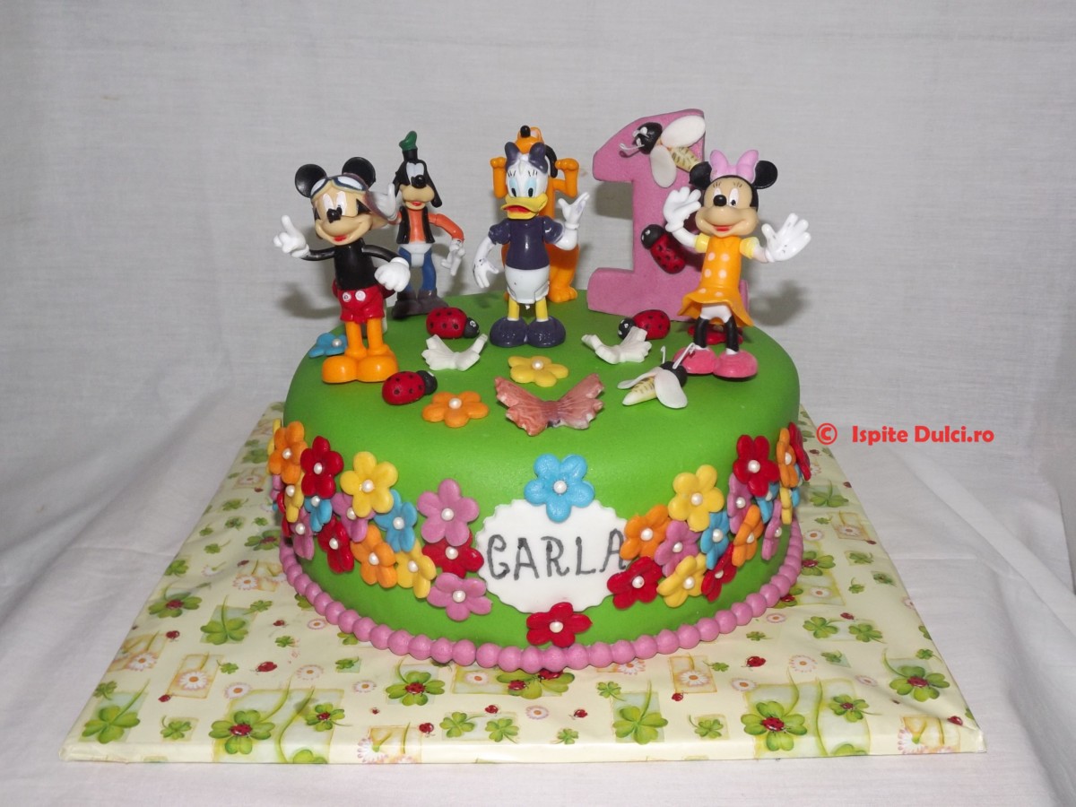 Tort 1 an vesel